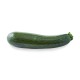 Squash grønn stk