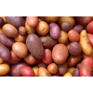 /prestashop/11000011-4278-thickbox/potet-losvekt.jpg