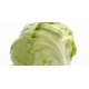 Isbergsalat stk