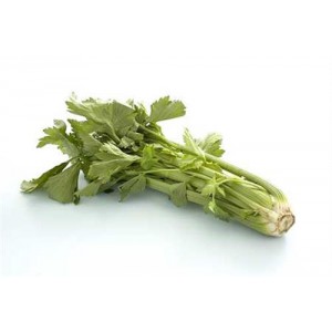 /prestashop/11000027-2785-thickbox/stangselleri.jpg