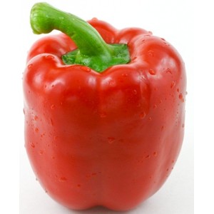 /prestashop/11000047-269-thickbox/rod-paprika-stk.jpg