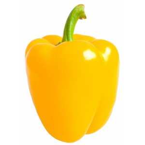 /prestashop/11000049-3443-thickbox/gul-paprika-stk.jpg