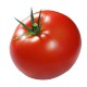 Tomat stk