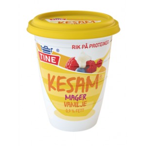 /prestashop/11001158-3363-thickbox/kesam-mager-mvanilje-300g-tine.jpg