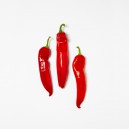 Spiss paprika r&oslash;d 2pk