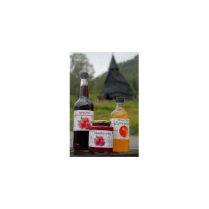 /prestashop/11099696-1341-thickbox/bringebaersaft-05l-urnes-gard.jpg