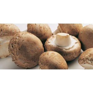 /prestashop/11100200-2581-thickbox/aromasopp-brun-sjampinjong-kilo.jpg