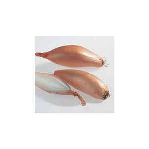 /prestashop/11100202-2583-thickbox/banansjalottlok-kilo.jpg