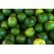 Lime kilo