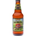 Founders All Day IPA 4,7% 0,33L flaske