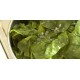 Bladspinat 250g pose