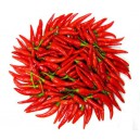 R&oslash;d chili kilo fersk